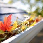 How much does gutter cleaning cost
