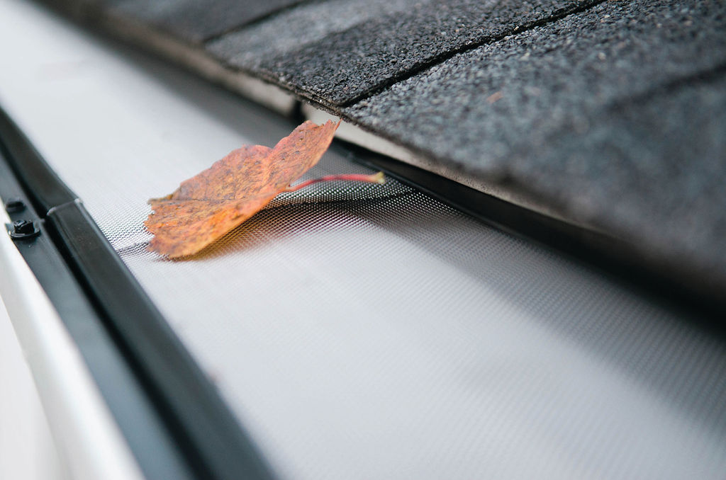 leaf resting on gutter guard