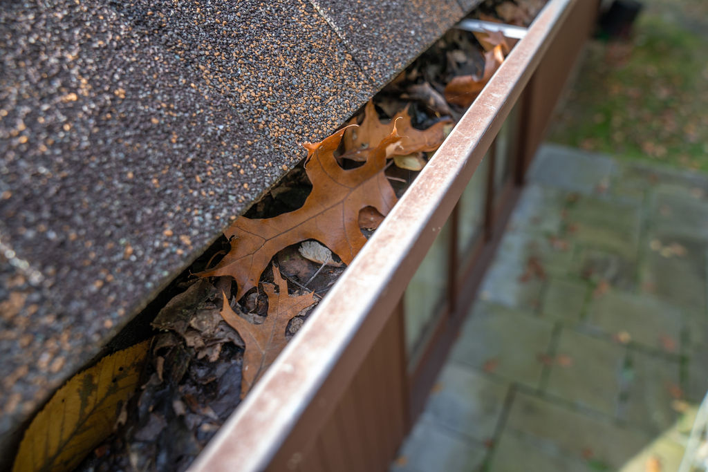 gutter cleaning needed - gutter filled with dried leaves