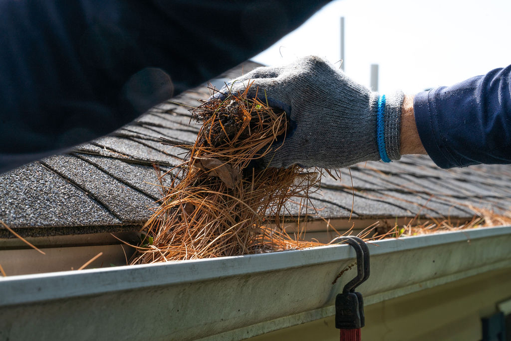 gutter cleaning services - handful of debris