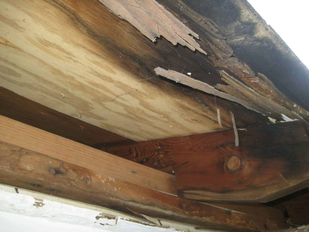fascia board replacement needed