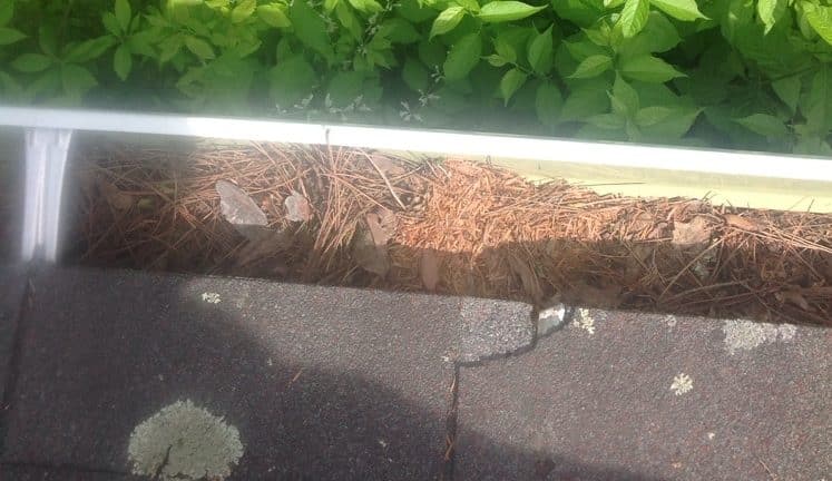 before gutter cleaning - clogged gutter