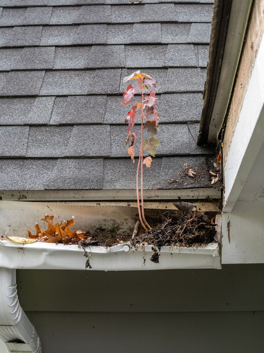 dilapidated gutters