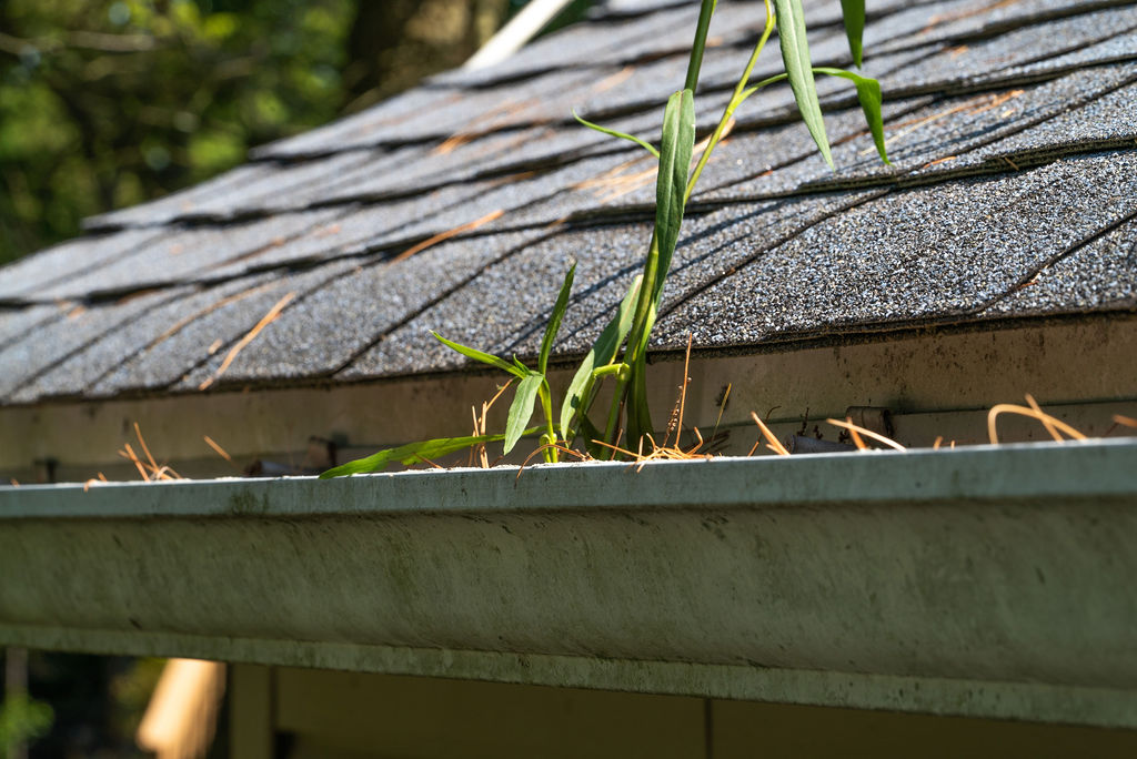 gutter contractor services - cleaning needed