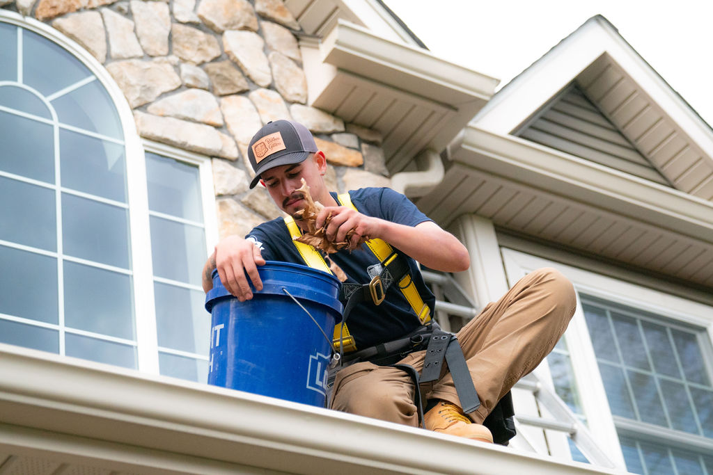 gutter services - cleaning
