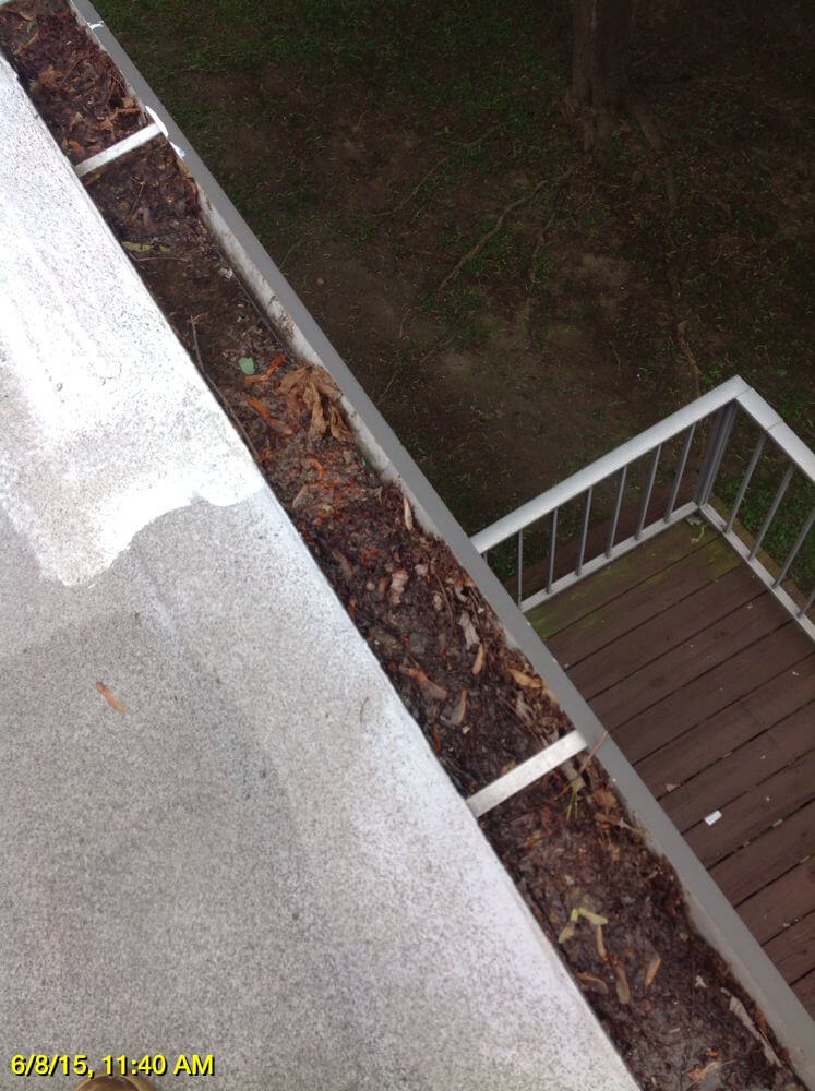 Before Gutter Cleaning Services